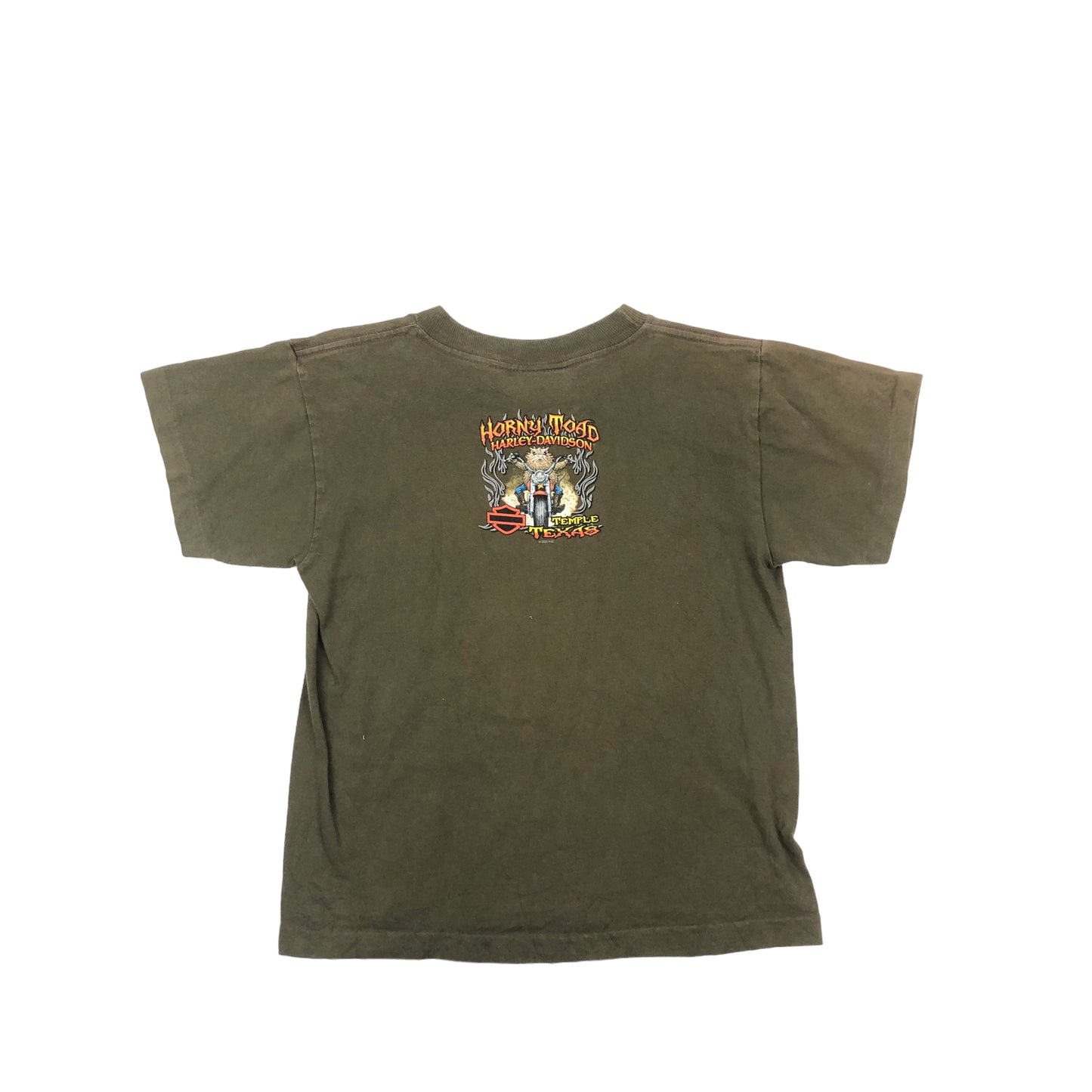 Vintage Harley Davidson T-Shirt (10-12yrs)