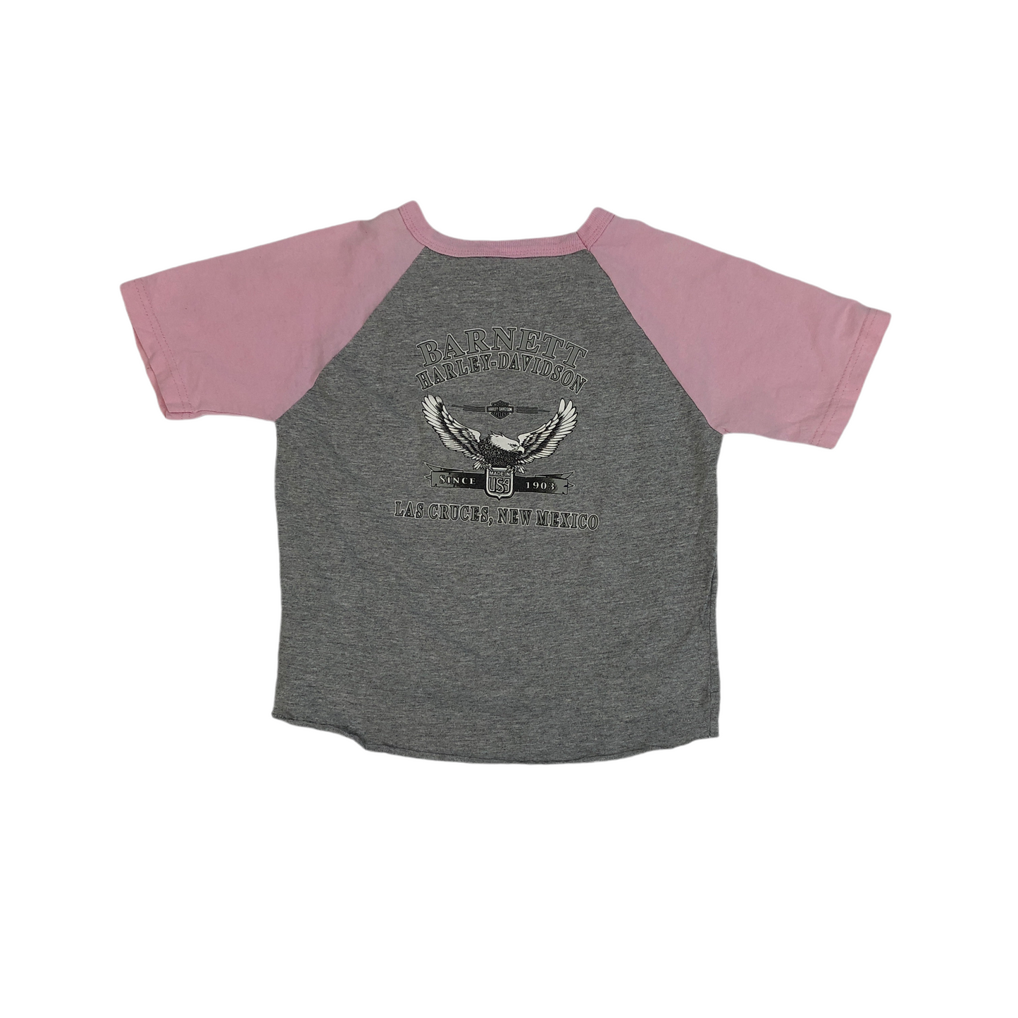 Vintage Harley Davidson Girls T-Shirt (2-4yrs)
